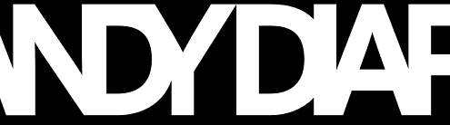 Blog Spotlight: DANDY DIARY