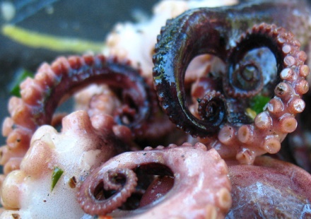 Kochen & Rezepte - Die Top 10 Magazine auf Pinterest (USA)