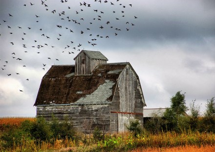 Landwirtschaft & Ackerbau - Die Top 10 US-Magazine auf Twitter